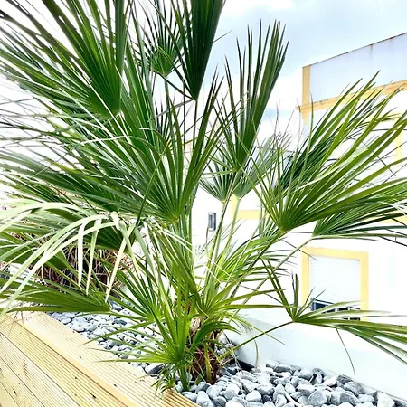 Casa de Férias Charming Of Olhao2 Olhão